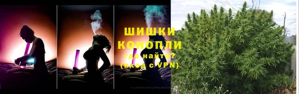 бошки Богородск