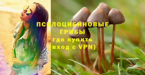 бошки Богородск