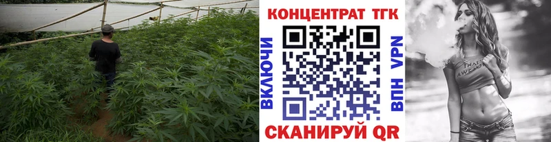 shop состав Рыбинск Дистиллят ТГК гашишное масло