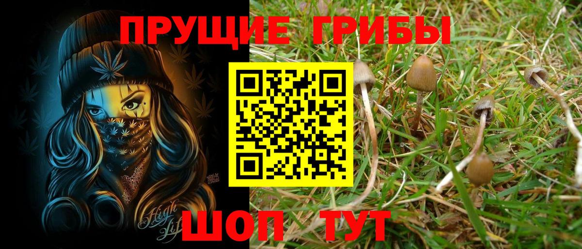 Галлюциногенные грибы Psilocybe  Галлюциногенные грибы Magic Shrooms  Вход с VPN  Рыбинск 
