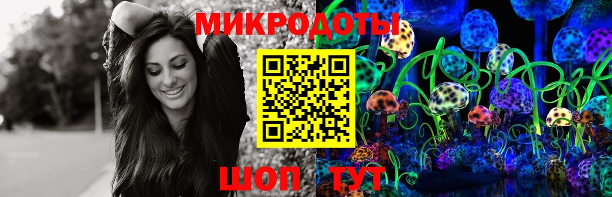 Псилоцибиновые грибы Cubensis Рыбинск